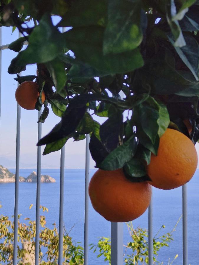 Villa Marunnella Praiano
